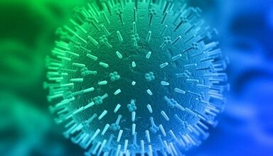 giza papilomabirusaren infekzio-bideak