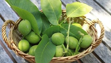 intxaurrak papilomak kentzeko