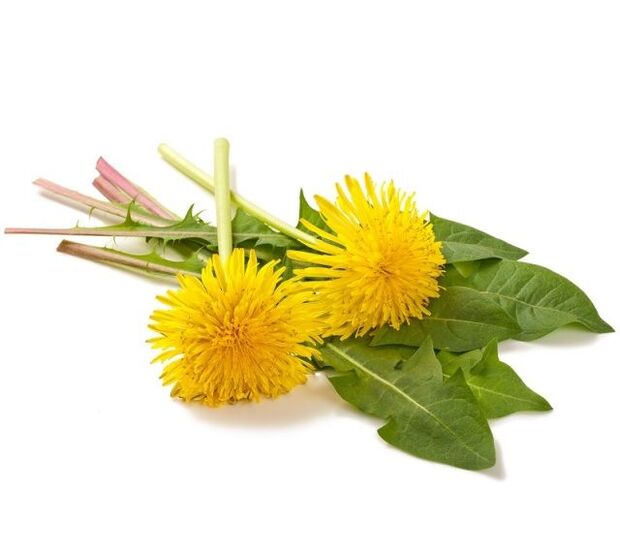 Papilomak kauterizatzeko dandelions